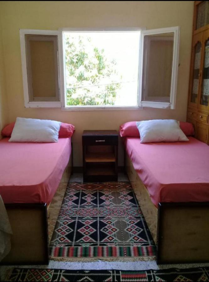 Mastonkel Hotel Aswan Eksteriør billede