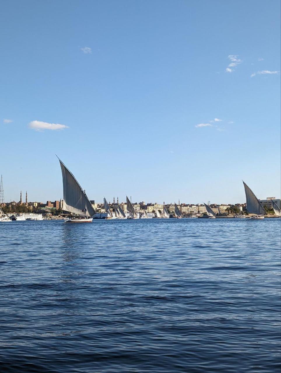 Mastonkel Hotel Aswan Eksteriør billede